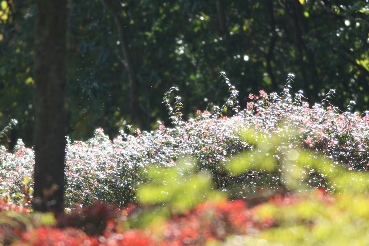 あいかわ公園はダムを見に来る人で賑わっていました